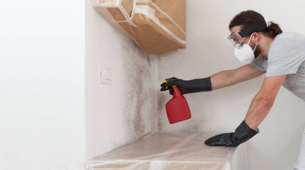 Professional Crawl Space Mold Removal technician working in Arlington, MA