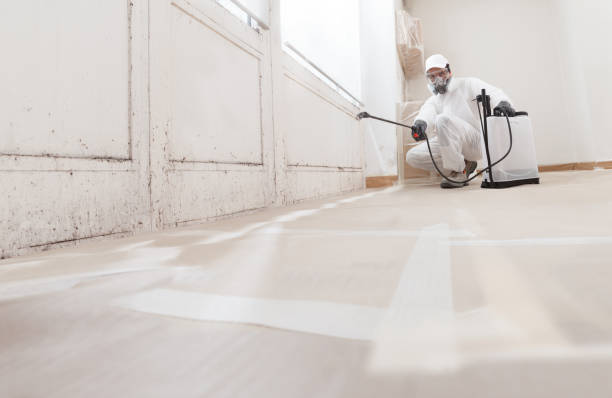 24/7 Emergency Crawl Space Mold Removal experts in Arlington, MA